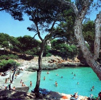 Mallorca Apartamentos Playa Ferrera Aparthotel mit Pool nahe dem Cala Ferrera Strand mit 1, 2 oder 3 Schlafzimmern für bis zu 8 Personen, mit Halbpension gegen Aufpreis Cala d'Or