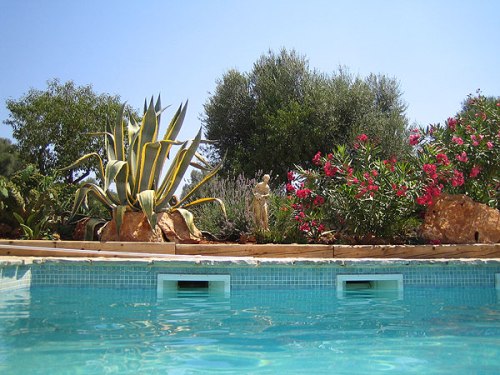 Mallorca Costix Inca Finca Can Pina Finca mit mehreren, verschiedenen Unterkünften und mit großem Pool Ansicht Pool