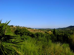 Mallorca Manacor Porto Colom Finca Oase - Finca mit mehreren, verschiedenen Unterkünften und mit großem Pool für dreimal 2 Personen und einmal 4 Personen Finca Aussicht