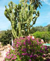Mallorca Capdepera Apartment auf Gäste-Finca R171 mit Pool in Ortsnähe für 4 Erwachsene evtl. plus Baby auch Außenbereich